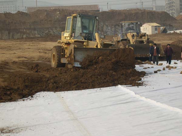 復(fù)合土工膜