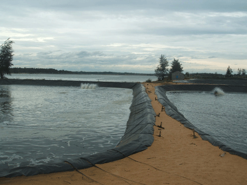 202011121035296020.png 202011121035296020.png